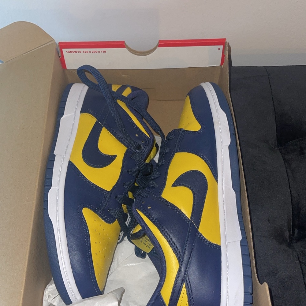 Nike Dunks Low Retro Size 8